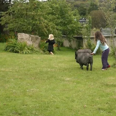 1 Keelkyle Connemara County Galway Hébergement de vacances *
