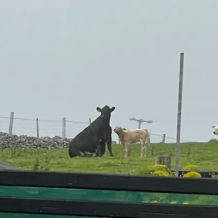 Casa vacanze 1 Keelkyle Connemara County Galway Letterfrack